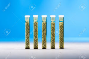 five small glass tubes with homeopathy globules, blue background