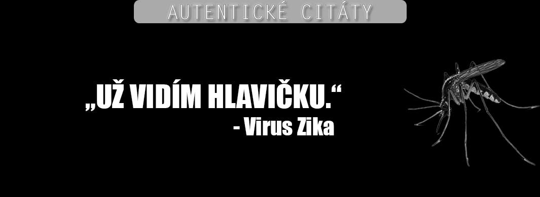 Zika virus  – co o něm víme/nevíme